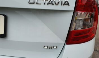 Skoda Octavia Combi 1.6 TDI Fresh 4×4 (Station Wagon) pieno